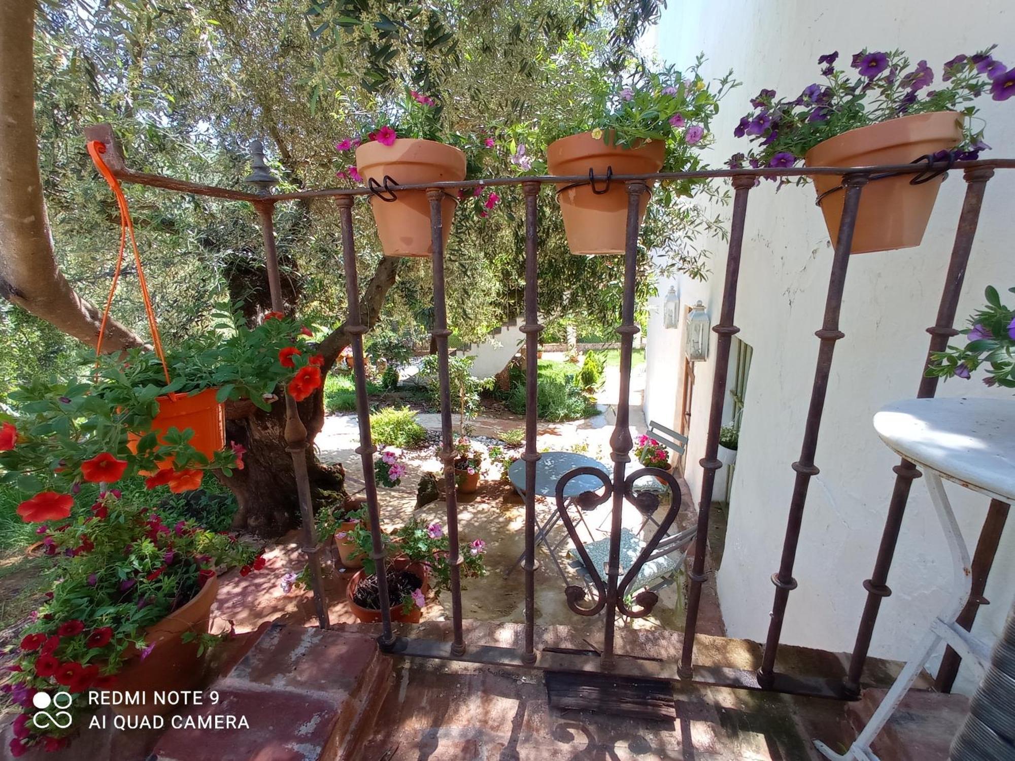 Finca La Favorita- Suites (Adults Only) Constantina Buitenkant foto