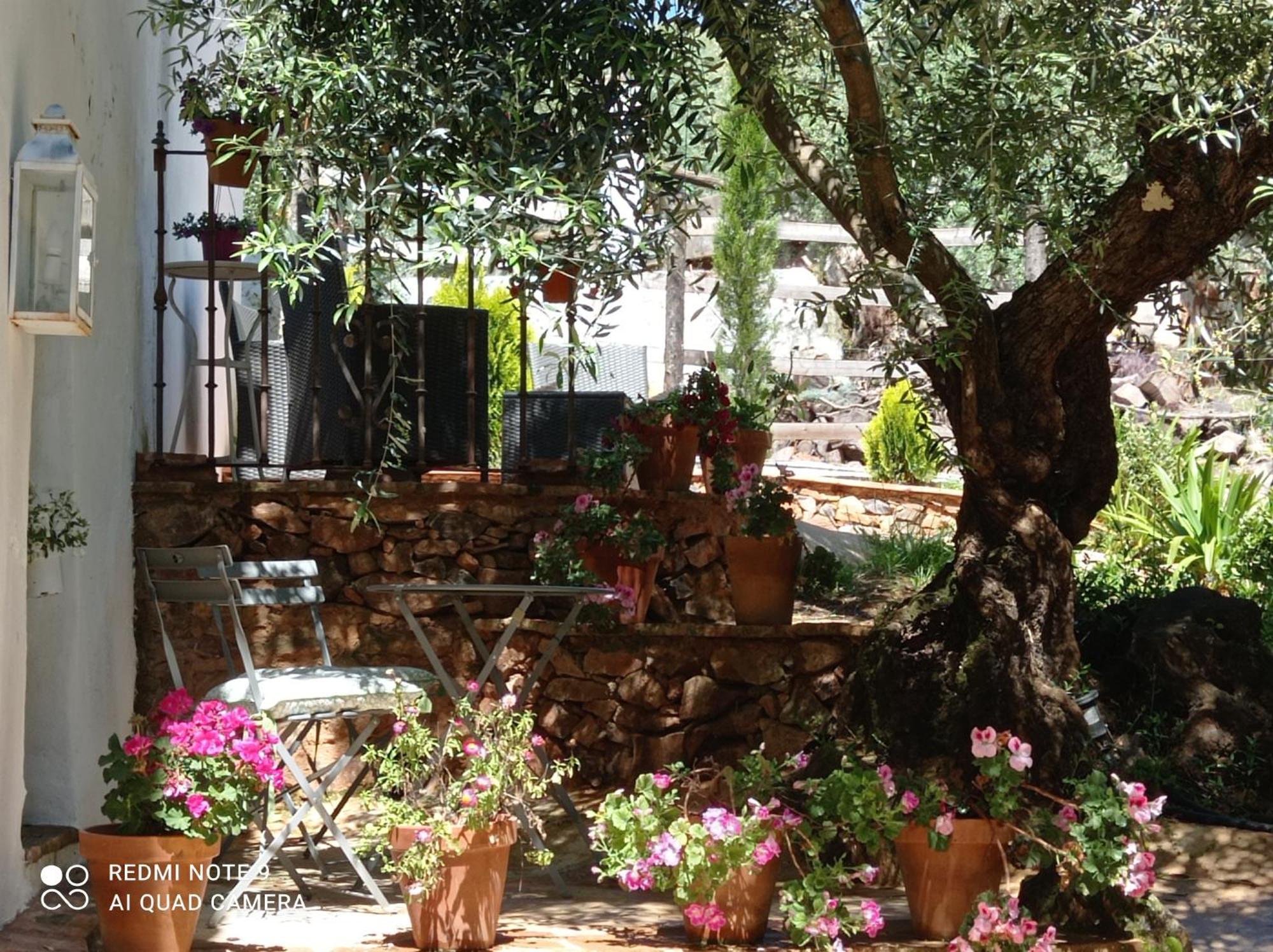 Finca La Favorita- Suites (Adults Only) Constantina Buitenkant foto