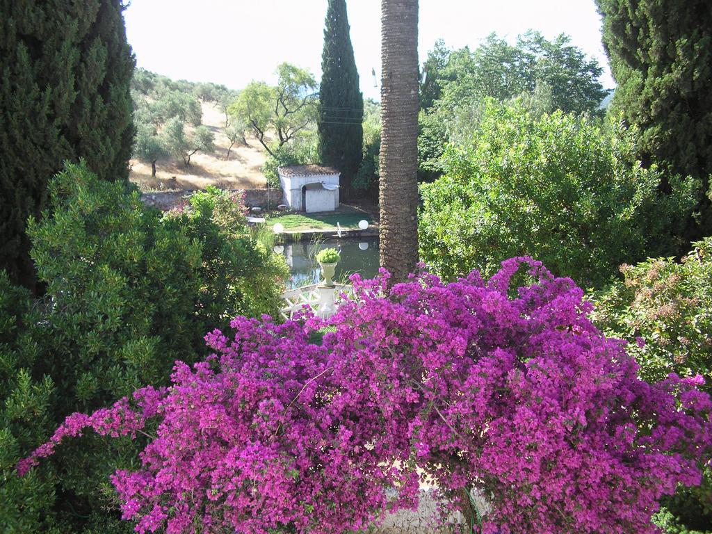 Finca La Favorita- Suites (Adults Only) Constantina Buitenkant foto