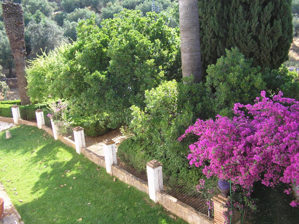 Finca La Favorita- Suites (Adults Only) Constantina Buitenkant foto