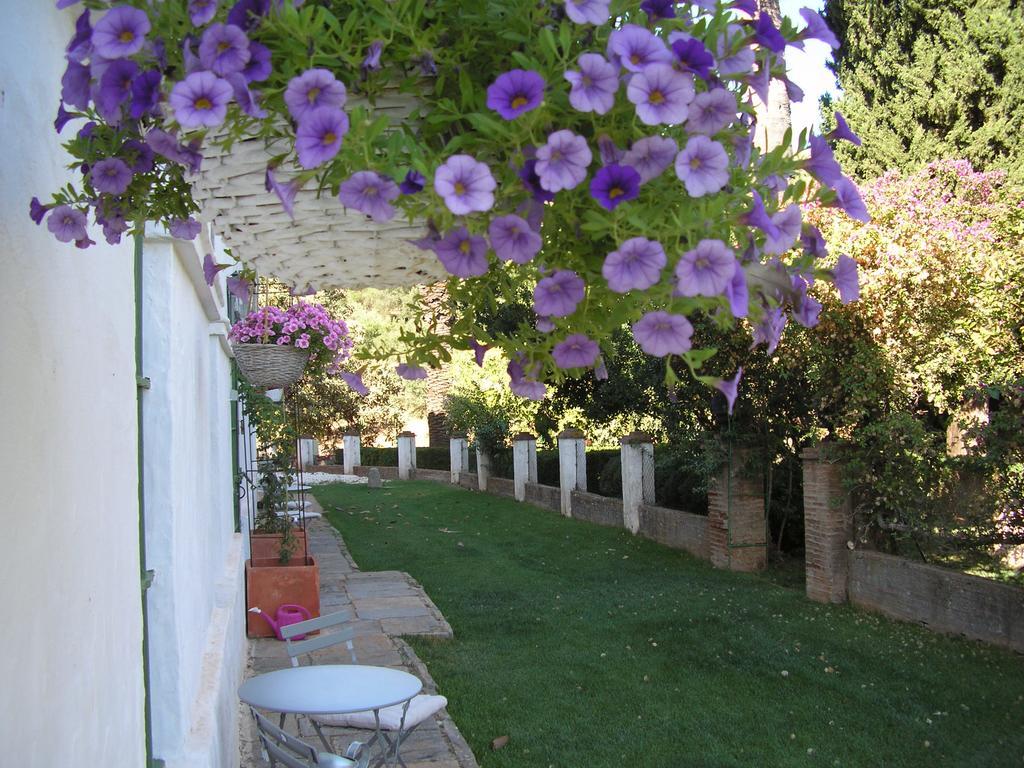 Finca La Favorita- Suites (Adults Only) Constantina Buitenkant foto