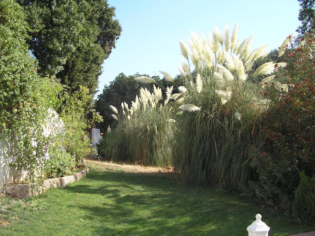 Finca La Favorita- Suites (Adults Only) Constantina Buitenkant foto