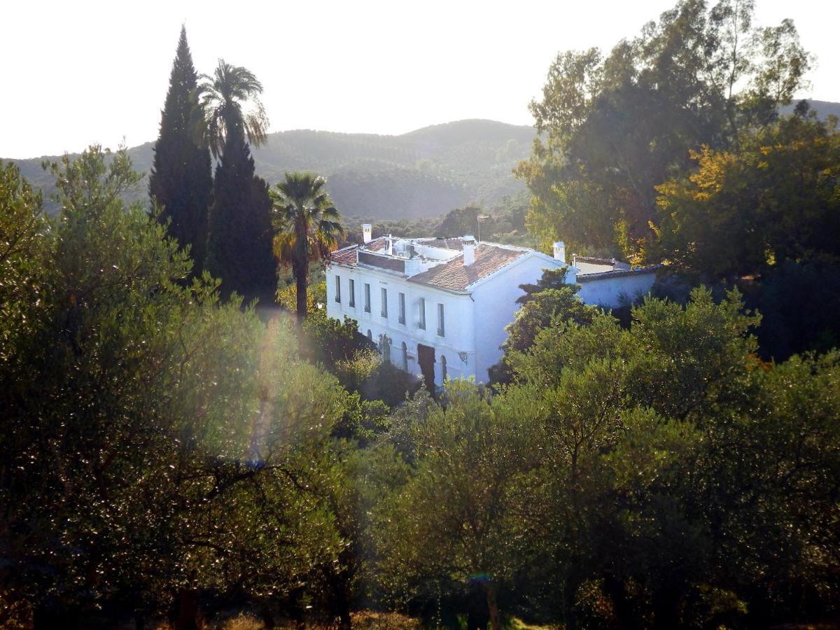 Finca La Favorita- Suites (Adults Only) Constantina Buitenkant foto