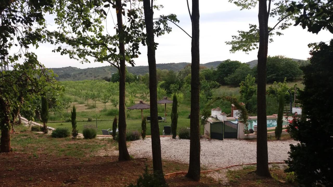 Finca La Favorita- Suites (Adults Only) Constantina Buitenkant foto