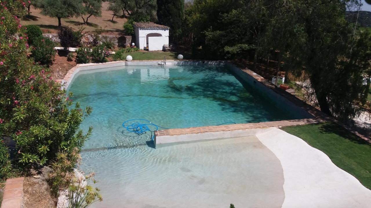 Finca La Favorita- Suites (Adults Only) Constantina Buitenkant foto