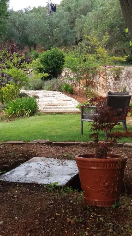Finca La Favorita- Suites (Adults Only) Constantina Buitenkant foto