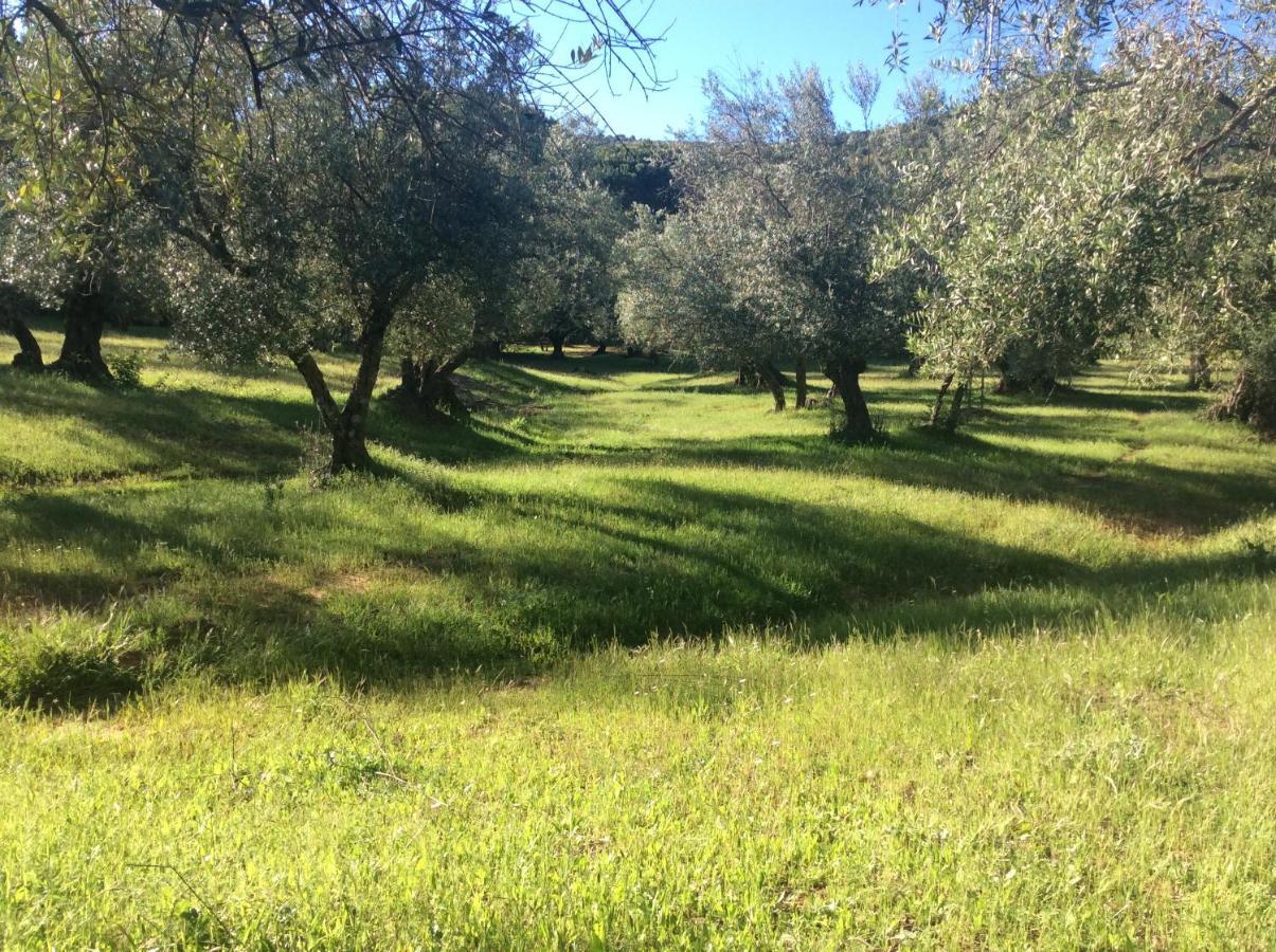Finca La Favorita- Suites (Adults Only) Constantina Buitenkant foto