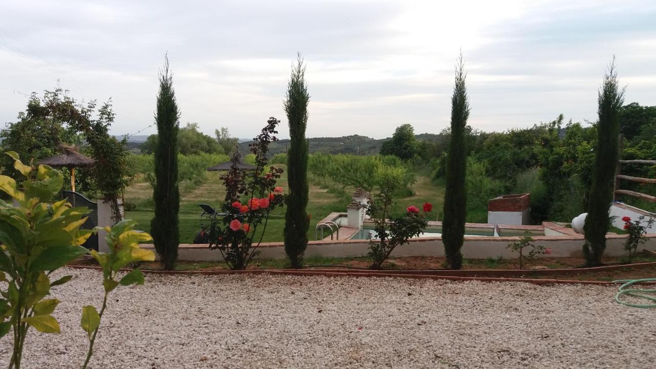 Finca La Favorita- Suites (Adults Only) Constantina Buitenkant foto