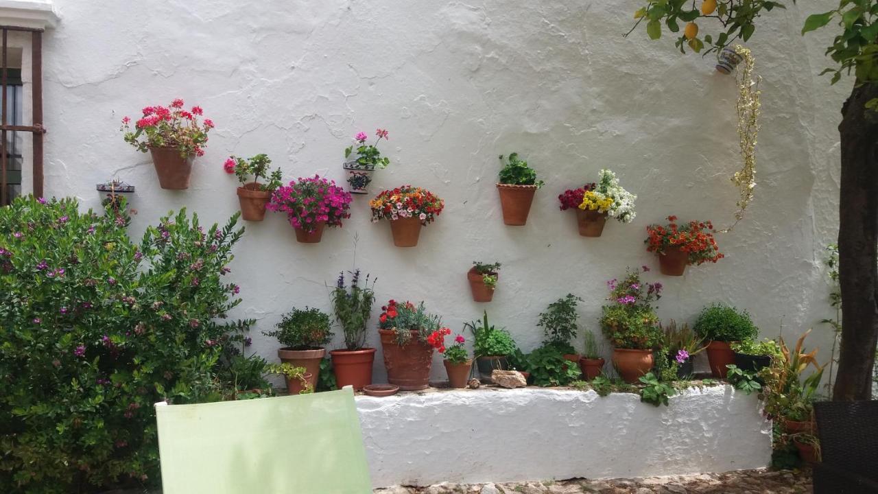 Finca La Favorita- Suites (Adults Only) Constantina Buitenkant foto